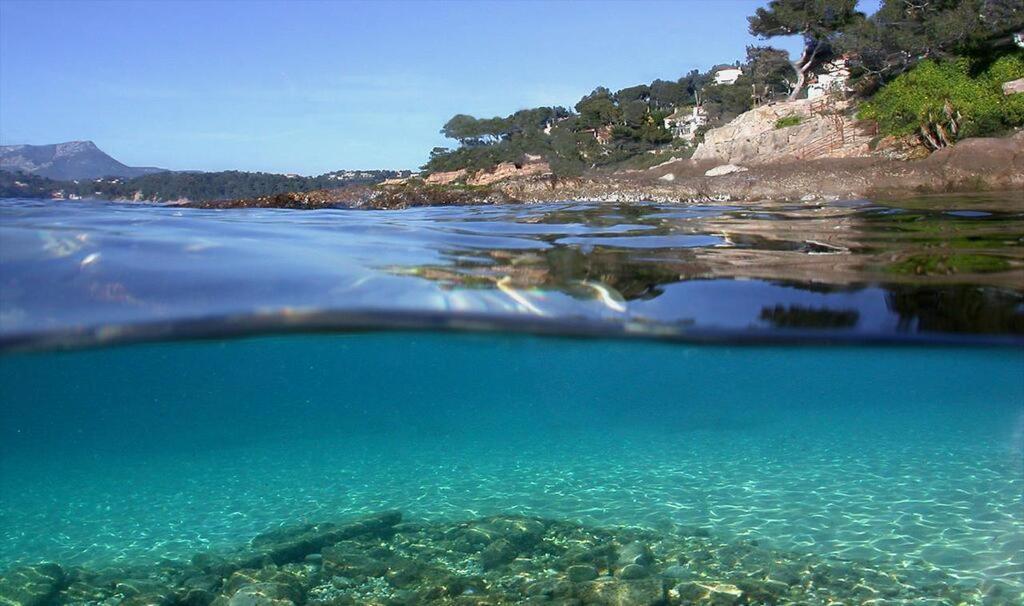 Les Pieds Dans L'Eau Bed and Breakfast Νίκαια Εξωτερικό φωτογραφία